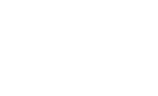 C2A Disability Without Limits